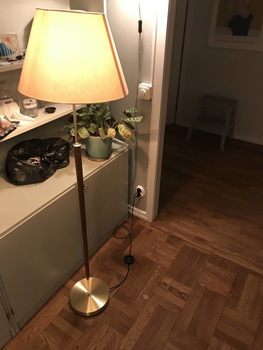 Golvlampa tänd i rumshörn med trägolv, bredvid skåp och växter, ger ett varmt ljus.