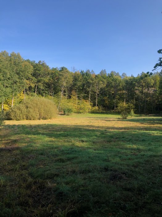 Höstligt landskap med grönt gräs och lövträd med början till höstfärger under en klarblå himmel.