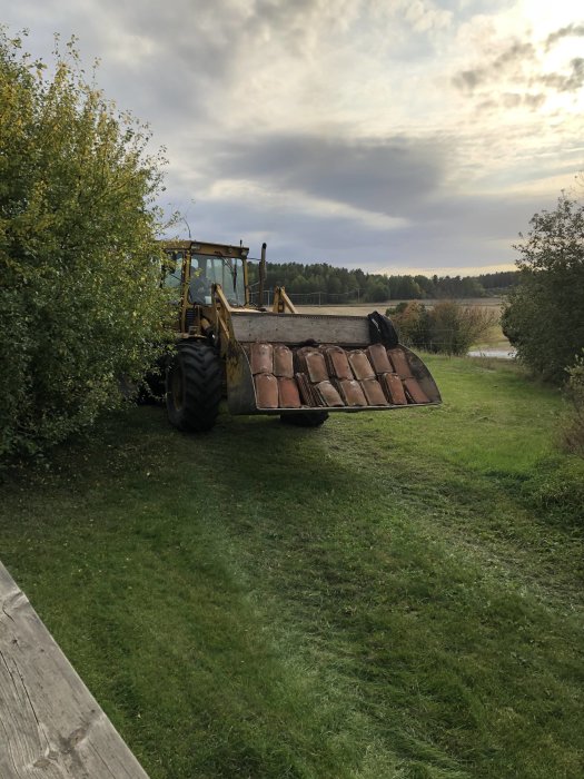 En grävskopa står parkerad på en gräsmatta bredvid gröna buskar med grå himmel i bakgrunden.