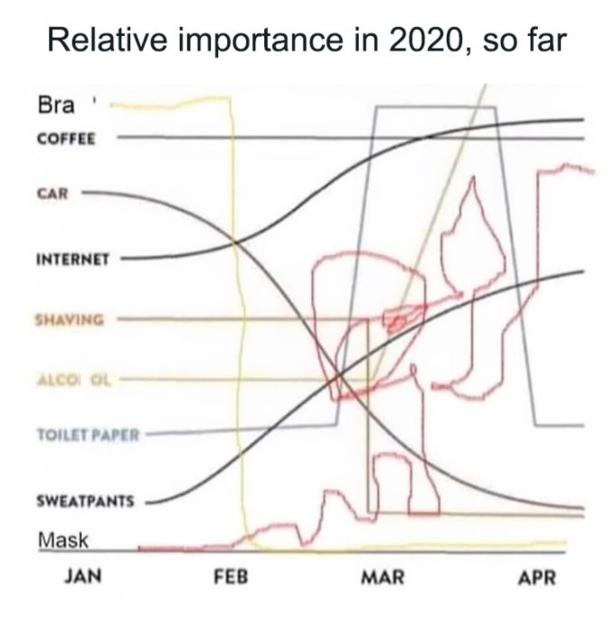 Humoristisk graf över relativ vikt av olika föremål under 2020, inklusive toalettpapper och masker.