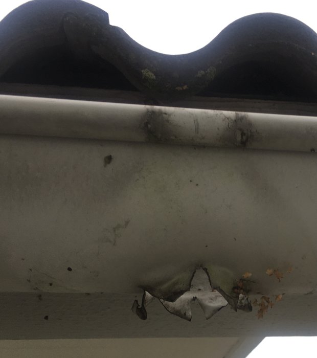 Öppnad hängränna vid övergången till stuprör för att minska lövproppar.