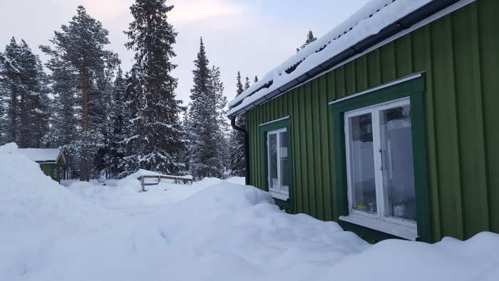 Snötäckt landskap med grönt hus, djupa snödrivor och tät skog i bakgrunden.