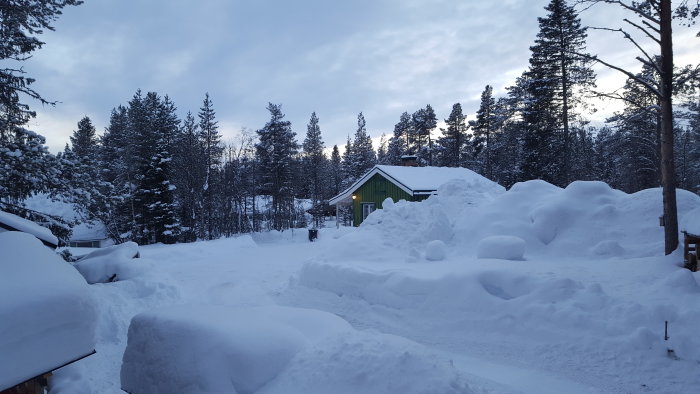 Vinterlandskap med djupa snödrivor framför grönt hus omgivet av skogsträd, en sheltie kan knappt ses.