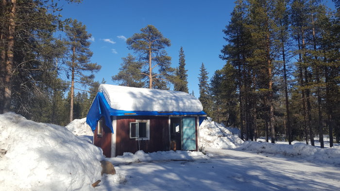 En äldre liten stuga med blått tak och snötäckta omgivningar under en klarblå himmel, avsedd för renovering till förråd/gäststuga.