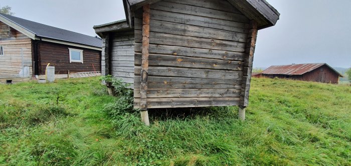 Träfasad på friggebod med gräs i förgrunden och andra byggnader i bakgrunden.