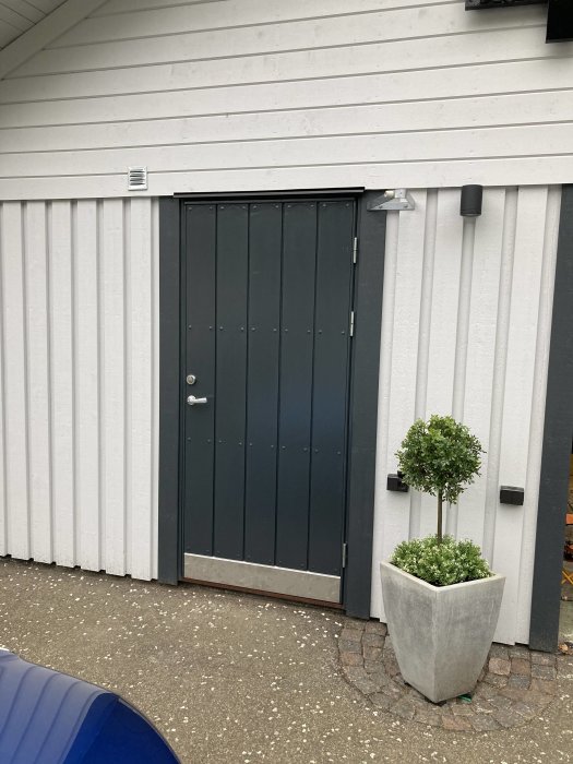 Renoverad svart garagedörr på vit vägg med växt i kruka framför.