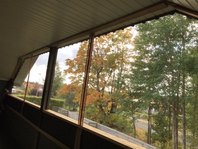 Balkong med uppspänt myggnät, utsikt över träd med höstlöv och en bit av plastgräs synlig.