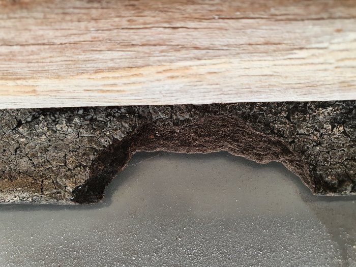 Gammal takpapp som är sprucken och bryts vid böj nära ett stuprör, med synlig råspont ovanför.