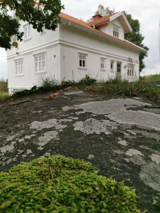 Nyrenoverad vit gavel på trähus fotograferad från låg vinkel med mossa i förgrunden.