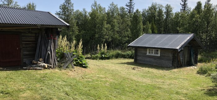 En traditionell norsk fäbodgård med två trästugor omgivna av grön äng och träd i Imsdalen, Norge.