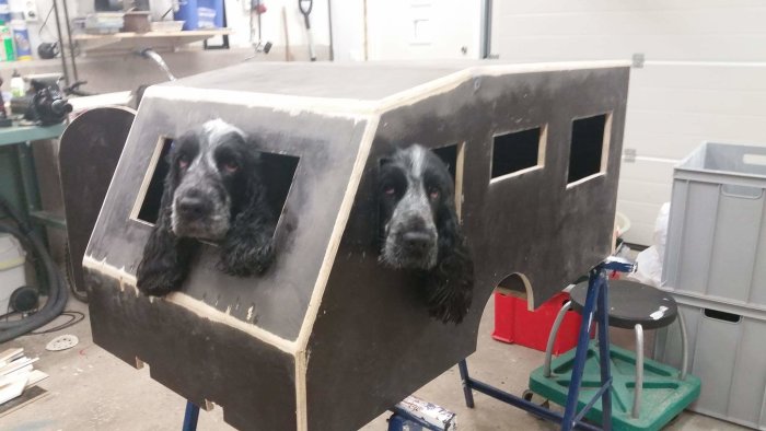 Hundkoja byggd av formplyfa och målad med fönsterfärg, två hundar tittar ut genom öppningarna.