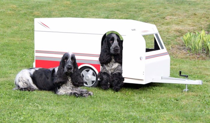 Två svarta cockerspaniel hundar vid en husvagnsformad hundkoja av formplyfa.