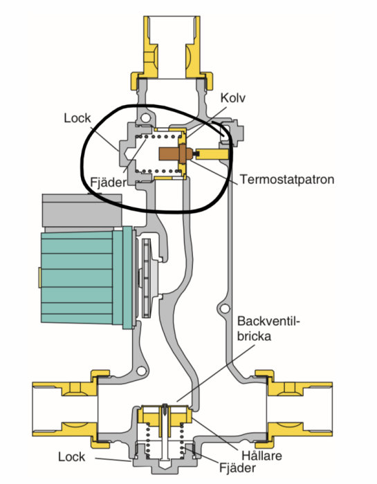 Diagram av en termostatventil med inringad termostatpatron som ska rengöras.