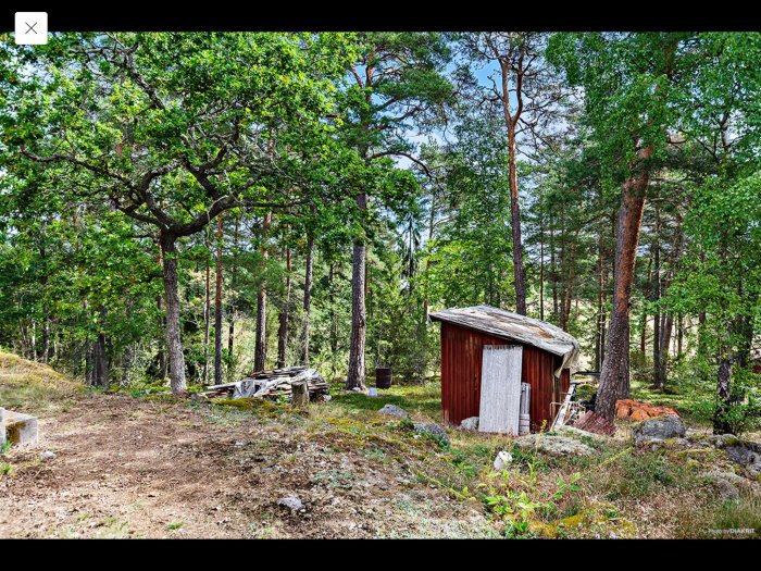 Tomt med skogsmark och ett litet rött skjul, nära vattnet.