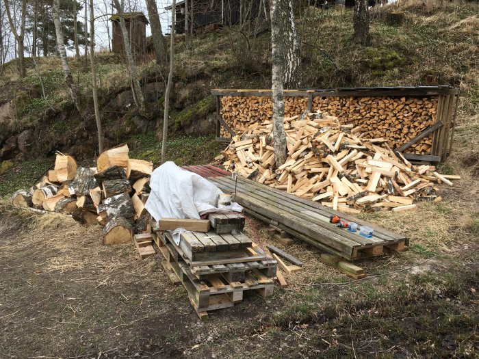 Nykluven ved staplad utomhus och i vedtork för torkning med skogsbakgrund.