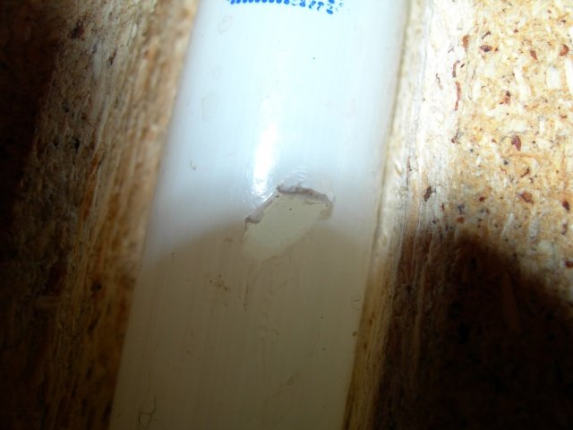 DSCN0028.jpg