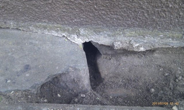 IMAG0151.jpg