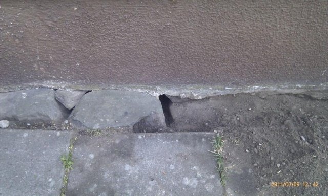 IMAG0152.jpg
