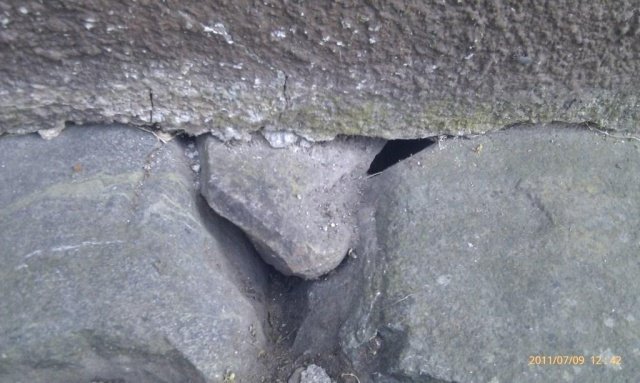 IMAG0154.jpg