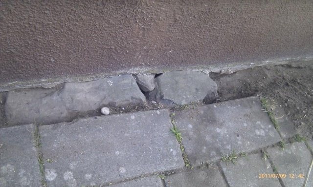 IMAG0155_.jpg