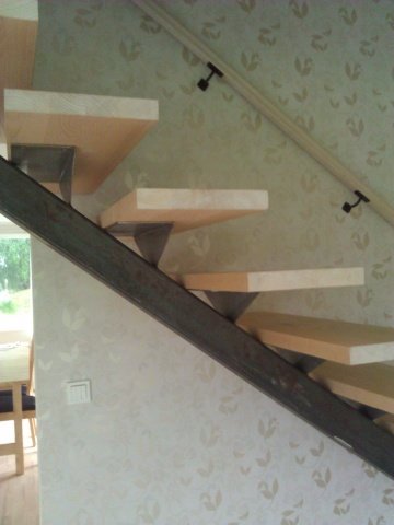 WP_000271.jpg