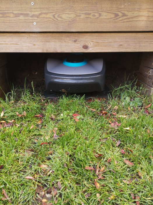 Robotgräsklippare dockad i laddstation under träaltan omgiven av gräs med löv.