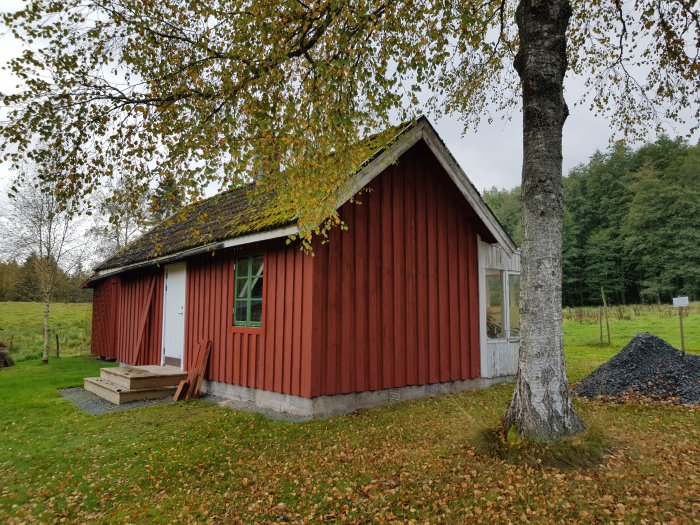 Nyinstallerat fönster och nymålad panel på en röd gäststuga med vita knutar, omgiven av grönska.