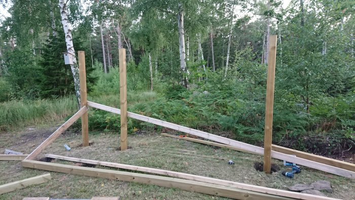 Konstruktion av en klätterställning i början, med tryckimpregnerade stolpar och diagonalstöd, i en naturlig trädgårdsmiljö.