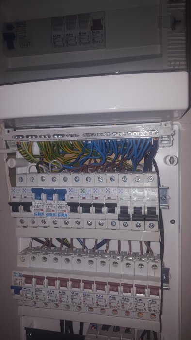 20201009_231603.jpg