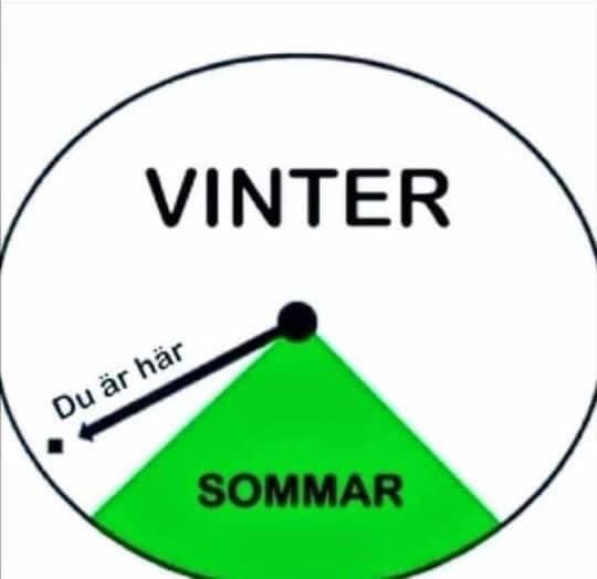 Illustrativ cirkeldiagram med texten "VINTER" och en mindre sektion märkt "SOMMAR", samt pekare med text "Du är här".