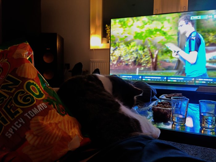 En person som vilar med sin katt, snacks och sport på TV efter en lång arbetsdag med takrenovering.