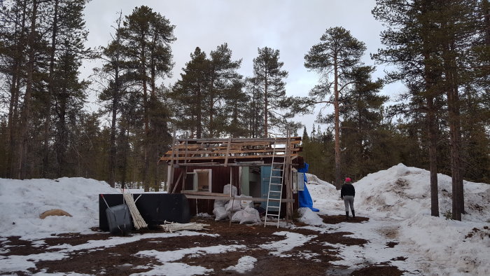 Påbörjat rivningsarbete av en stuga med två personer, i en skogsmiljö med smältande snö och byggavfall runtomkring.