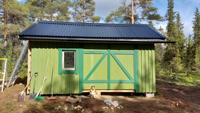 Renoverad grönmålad stuga med ny dörr och hund framför i skogsmiljö.