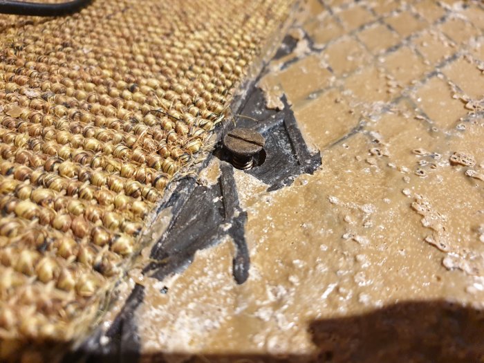 Gammal matta delvis lyft från betongplatta som visar lim och golvlager från 1969.