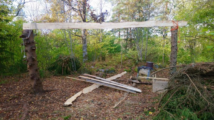 Kaksi pystytettyä puupylvästä, joiden välissä on puinen poikkipalkki, ympärillä metsää ja lehtiä maassa.