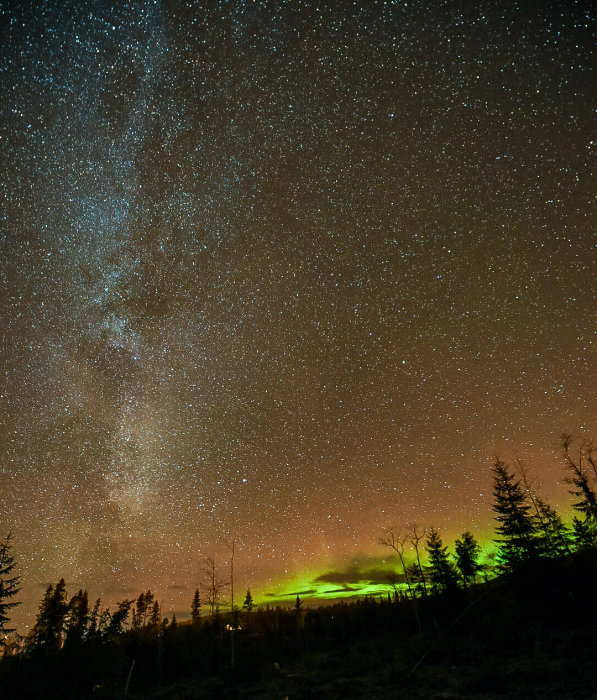 Stjärnbeströdd himmel och grönt norrsken över silhuetter av träd i naturlandskap.