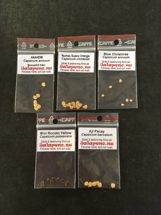 Olika sorters chiliplantor i påsar, redo för plantering, mot mörk bakgrund.