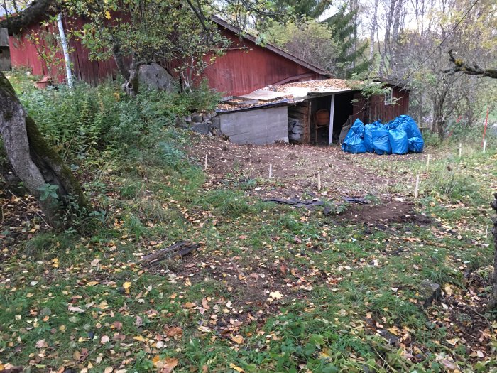 En överväxt tomt med en lada i bakgrunden, omgiven av träd och stora stenar, med markerade ytor för kommande marktäckning.