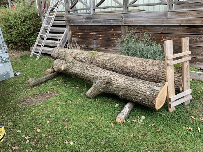 Två stora stockar på gräsmatta nära trästege och trävägg, redo för transport.