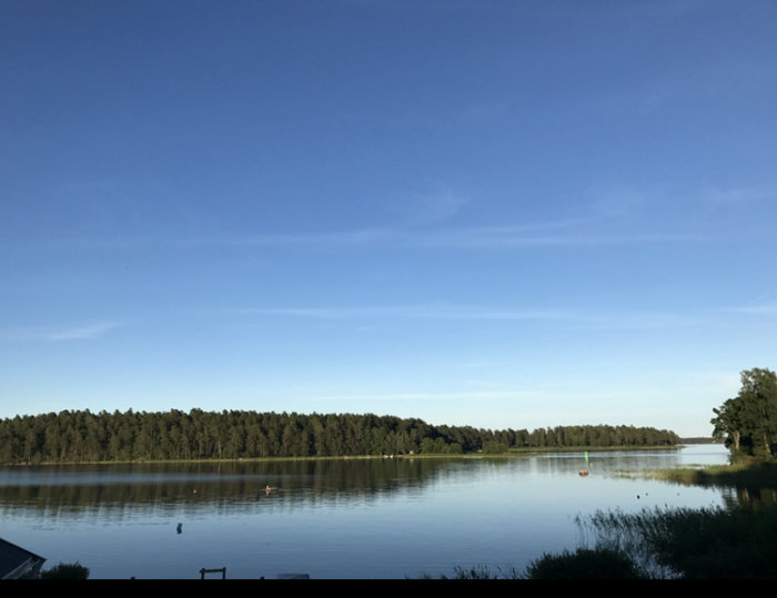 Solig och vindstilla vy över en sjö omgiven av träd på en klar dag.