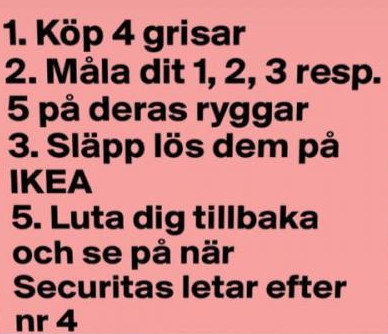 Textinstruktioner om att köpa fyra grisar, numrera dem 1, 2, 3 och 5, och släppa dem fria i IKEA för förvirring.