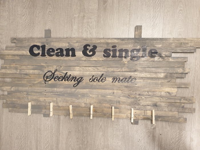 Handgjord tavla med texten 'Clean & single Seeking sole mate' på återvunna träplankor med klädnypor som strumpklämmor.