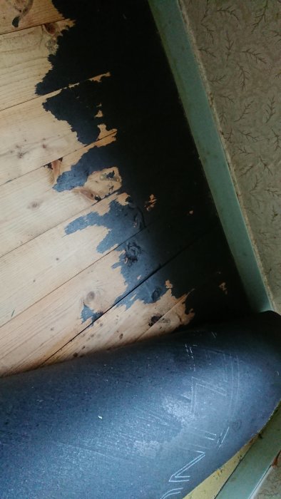 Trägolv med svarta fläckar av bitumen bredvid kvarvarande linoleummatta.