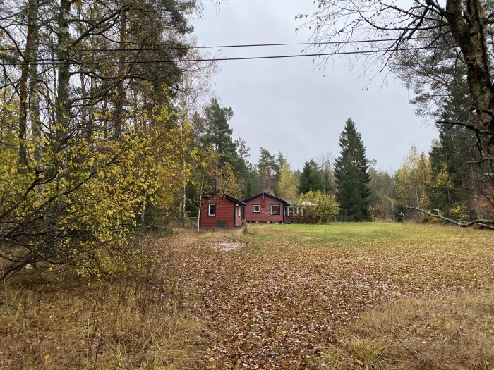 Vy över ett hus i Värmdö kommun med gräsmatta, träd och en uteplats, möjlig grävplats för VA-förbindelse.