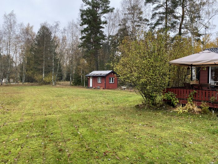 En röd stuga med vita knutar och en gäststuga i bakgrunden sett från en gräsmatta med träd runtomkring, möjlig VA-förbindelsepunkt.