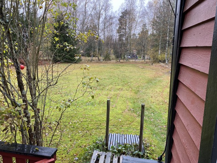 Utsikt från en veranda över en porös gräsmatta som föreslås för grävning av LTA-anslutning, med träd och ett annat hus i bakgrunden.