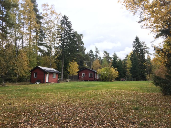 Gräsmatta med en gäststuga nära trädgrupp, i bakgrunden syns hus och blandad skog, potentiell grävplats.