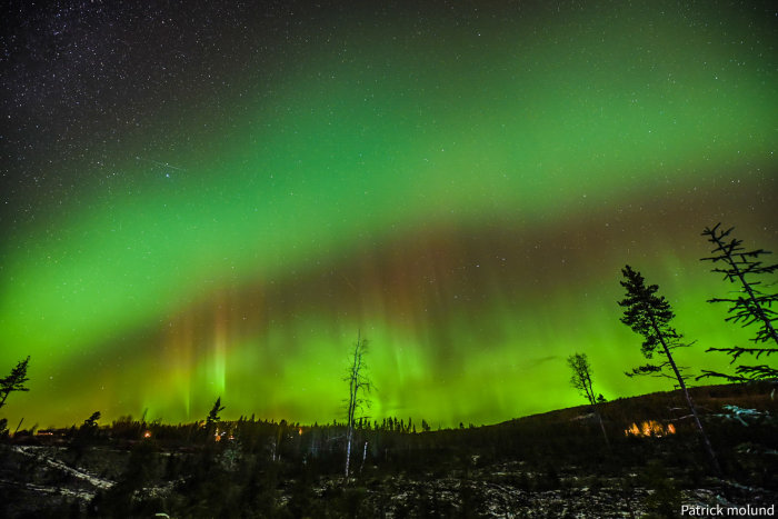 Gröna norrsken strålar över en mörk skog mot en stjärnklar himmel.