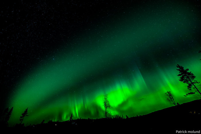 Norrsken i skogsmiljö med stjärnklar himmel som belysning i natten.