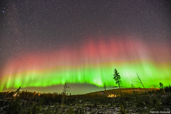 Norrsken över en skogsterräng med stjärnhimmel i bakgrunden.